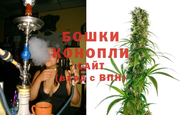 дмт Бородино