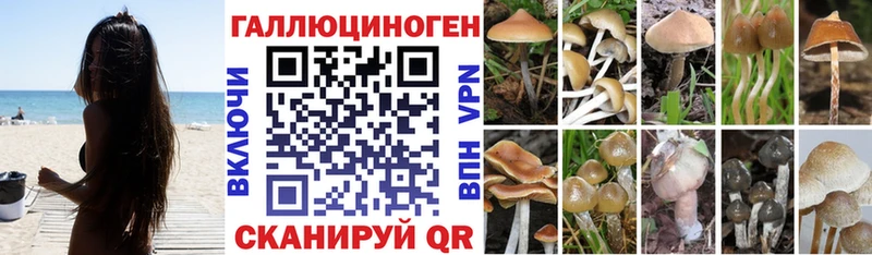 где можно купить   Верхний Тагил  Галлюциногенные грибы ЛСД 