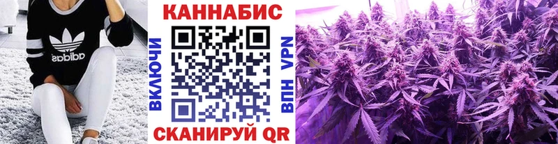 Бошки марихуана Amnesia Верхний Тагил